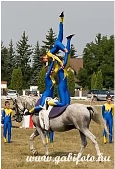 mezokovesd01.jpg